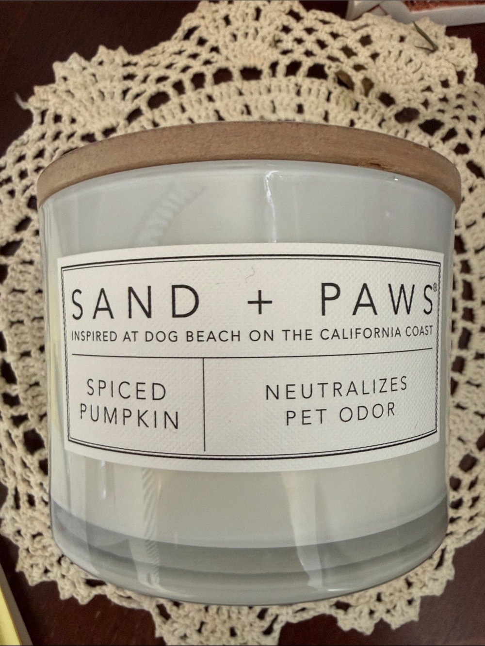 Spiced Pumpkin Pet Candle - White